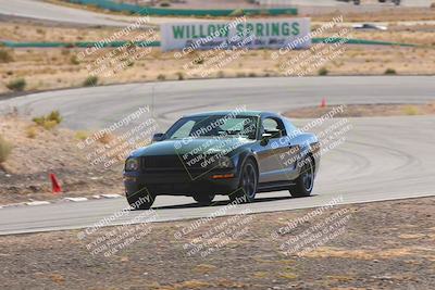 media/Oct-25-2025-West Coast Racing (Sat) [[9fdcbcd09c]]/Yellow group/Turn 4/